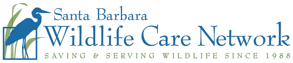 wild care network
